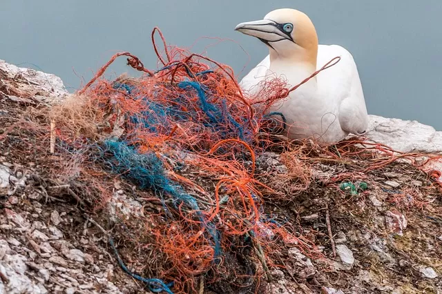 Microplastiques sont-ils nocifs pour notre santé ?